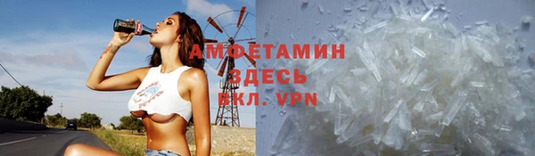 прущие грибы Арсеньев