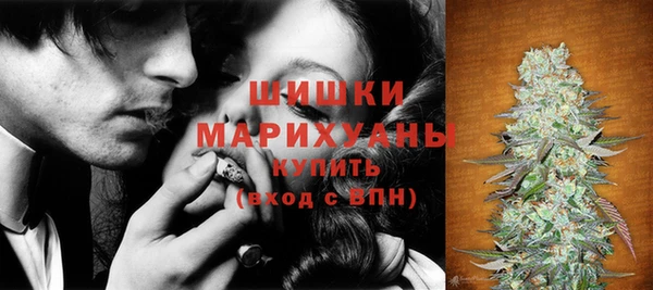 индика Инта