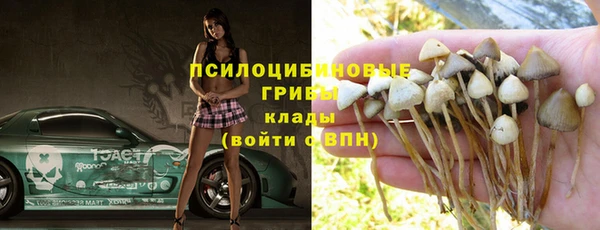 стаф Инсар